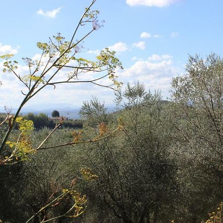 Country House Il Covo Della Civetta Barberino di Val dʼElsa Εξωτερικό φωτογραφία